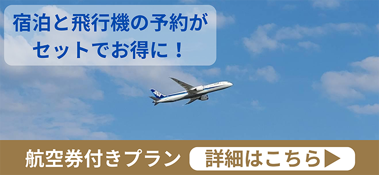 航空券付きプラン
