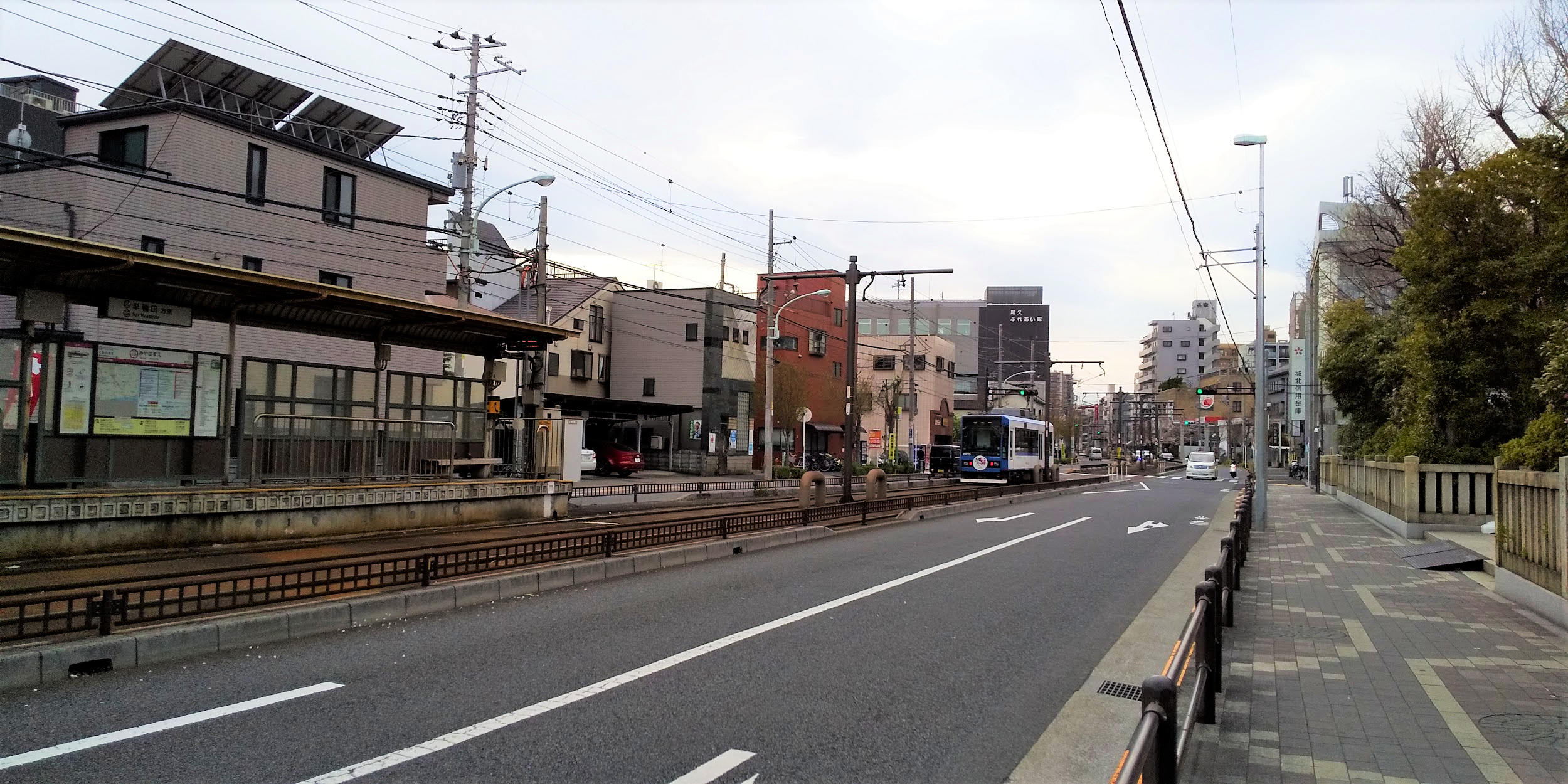 さくらトラム３.png
