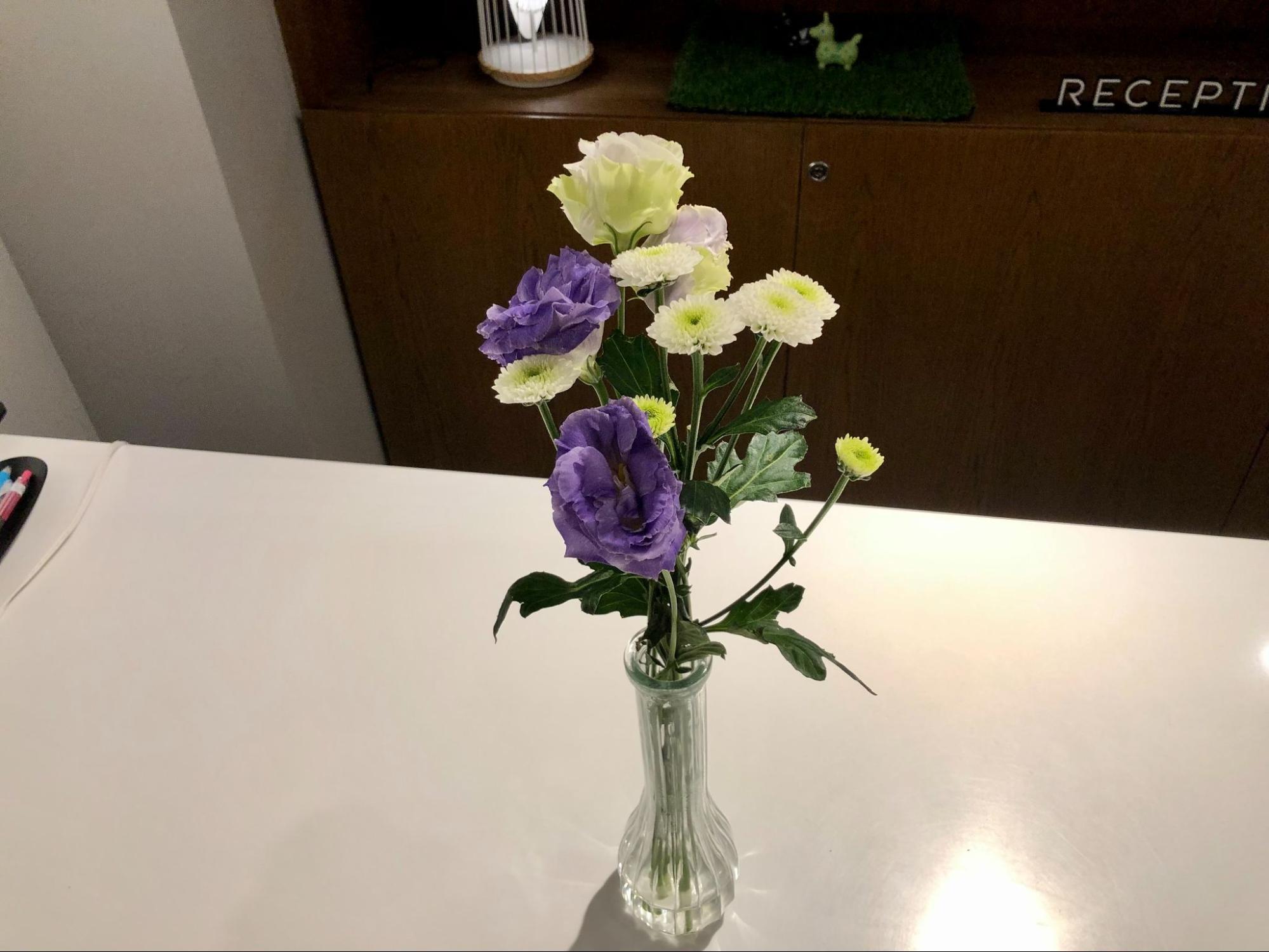 image7.jpg