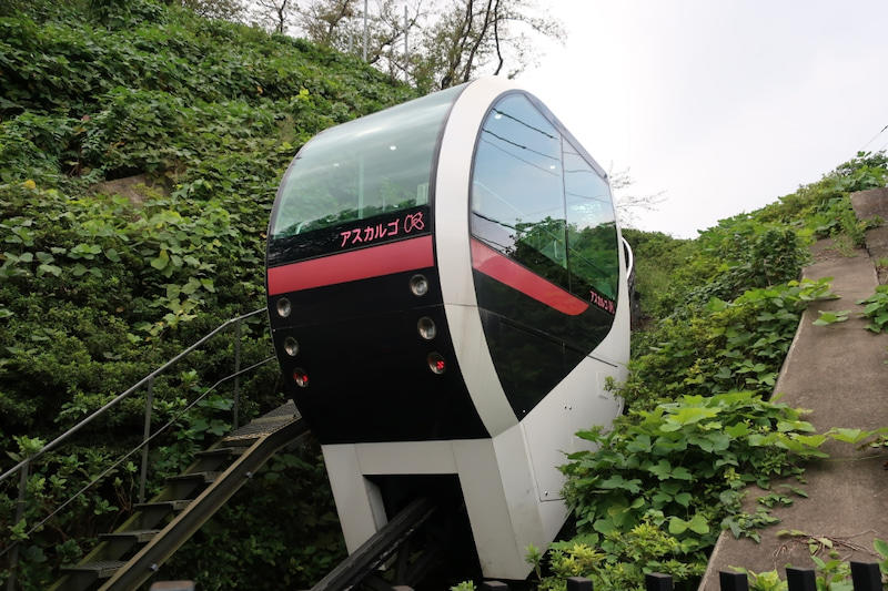 アスカルゴ.jpg