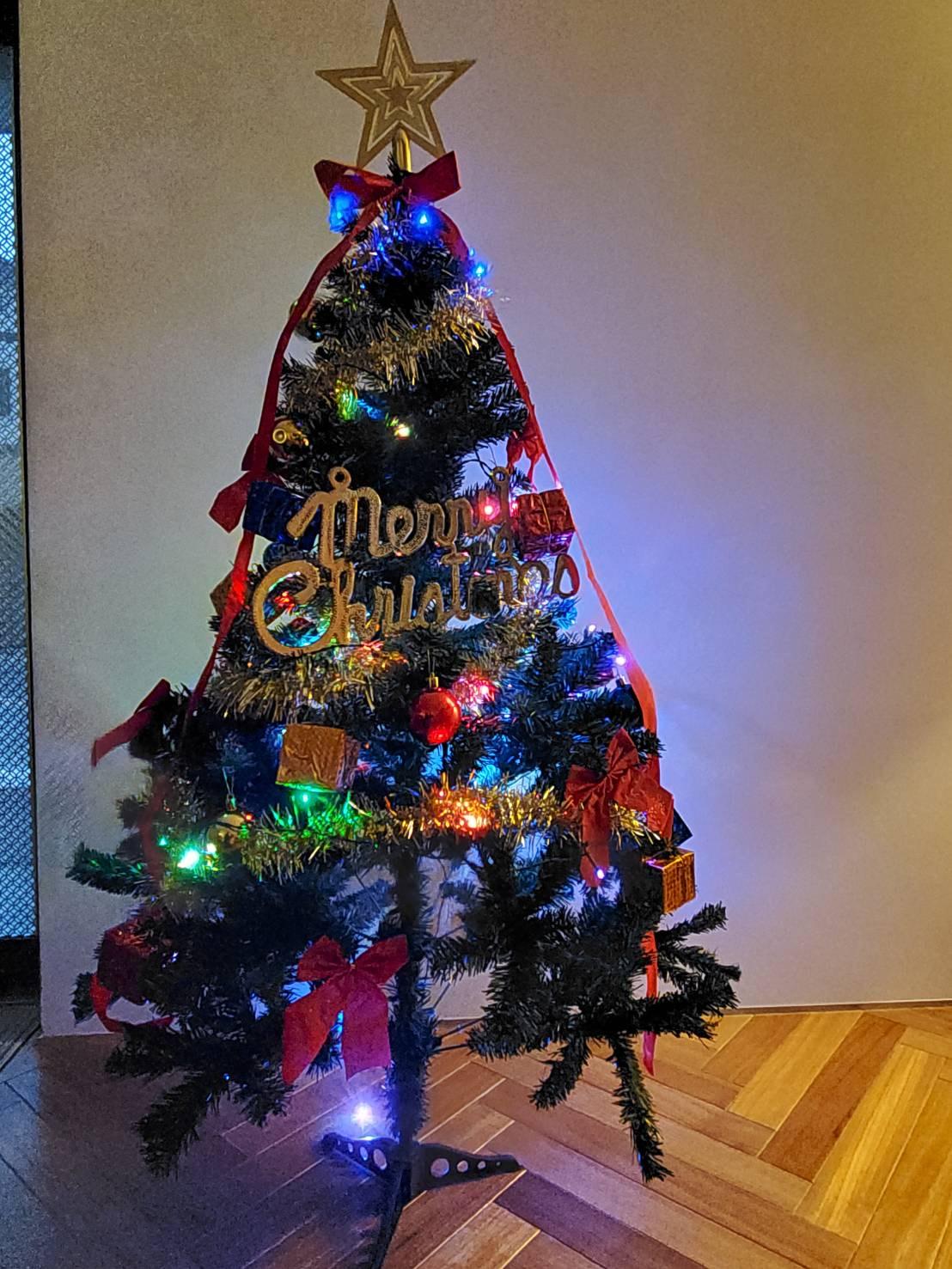 クリスマス写真6.jpeg