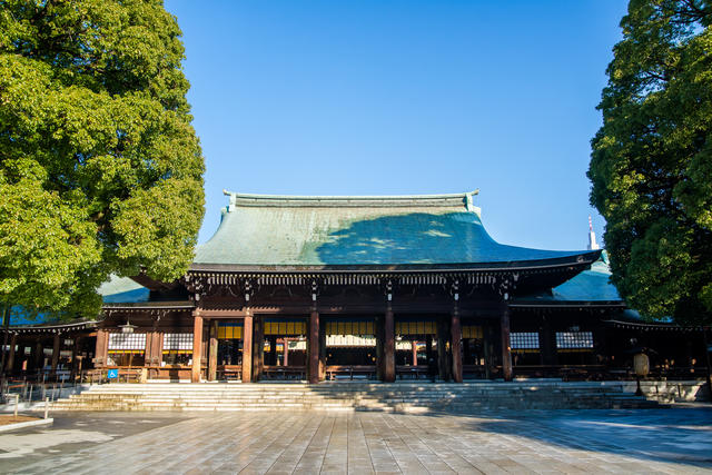 image3.jpg