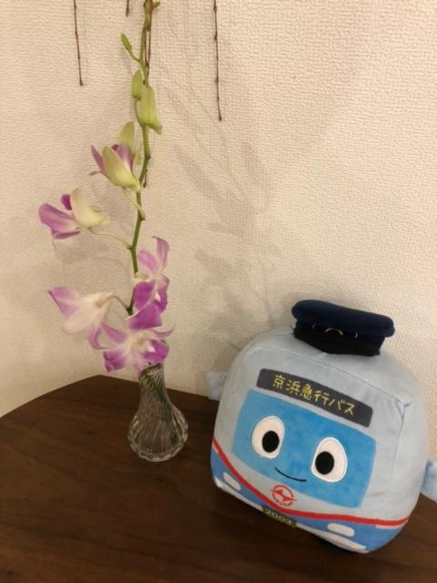 image0 (23).jpeg