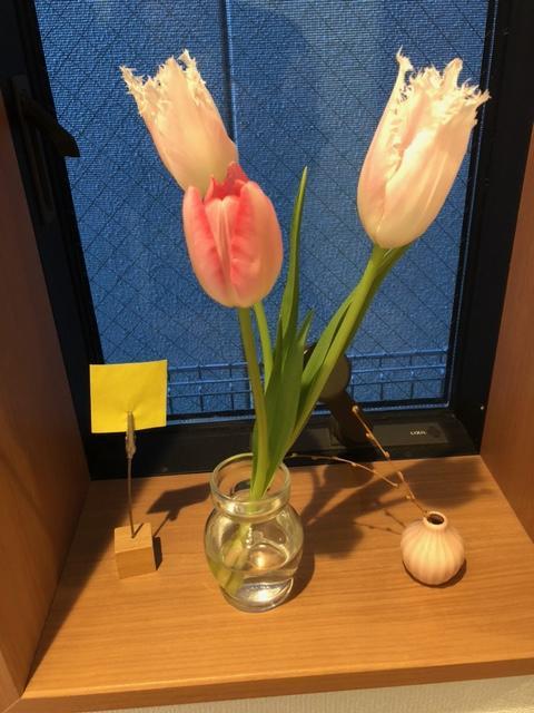 image2 (6).jpeg