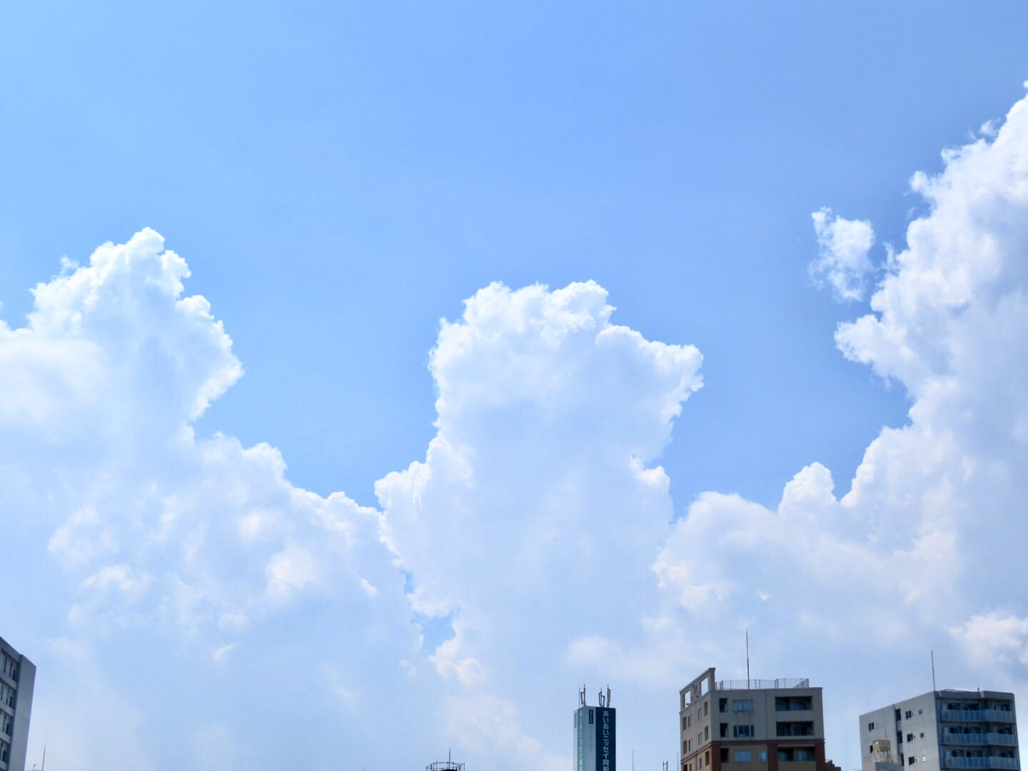 pasted image 0 (11).png