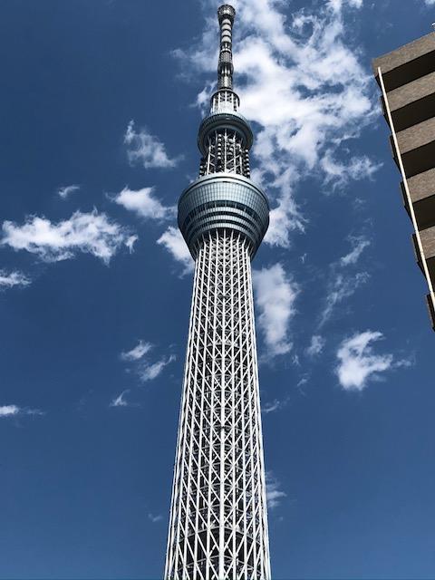 image0 (8).jpeg