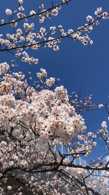 image2 (1).jpeg